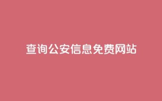 查询公安信息免费网站