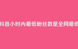 抖音24小时内最低粉丝数是全网最低